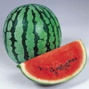 Organic A Grade Watermelon 7-10 Days, Packaging Size : Loose Packaging For Human Consumption