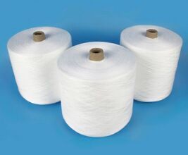 30D SD Polyester Kota Yarn