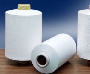 Nylon ACY Yarn