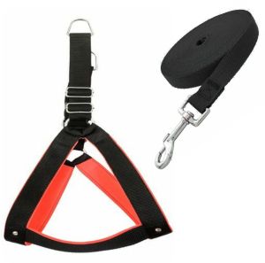 Dog Harness With Padding With Leash Black Colour