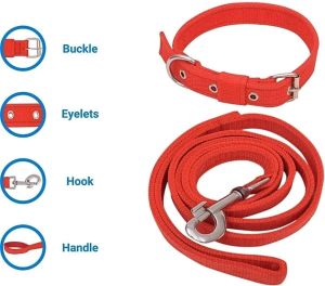 Polyester Collar Leash Set Red Colour