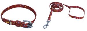  Collar & Leash Set
