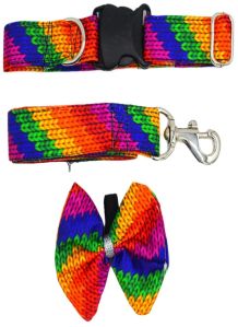 Rainbow Pride Collar and Leash Set For Dogs With Bow