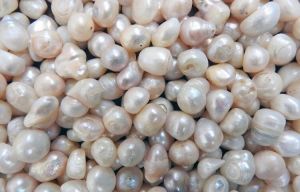 Cultured Pearl