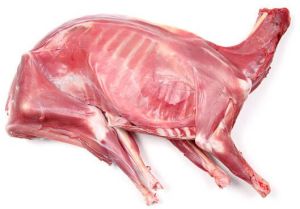 Fresh Goat Meat