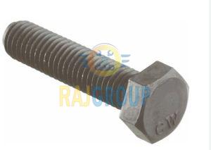 Power Coated Iron Bsw Bolt For Fittings