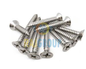 Polished Stainless Steel Screw For Fittings Use