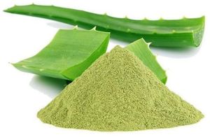 Natural Aloe Vera Powder, Color : Green, Packaging Size : 10 Kg, Packaging Type : Bag