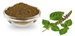 Natural Basil Leaves Powder, Color : Brown, Packaging Type : Bags