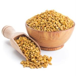 Natural Dried Fenugreek Seeds, Packaging Size : 10 Kg, Packaging Type : Bag For Spices, Cooking