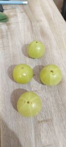 Fresh Amla