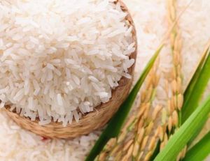 IR 47 Non Basmati Rice