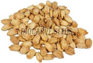 Momordica Charantia Seeds