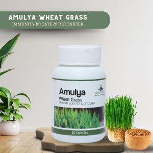 Amulya Wheat Grass Capsule, Medicine Type : Herbal