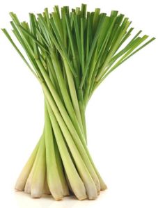 Common Fresh Lemon Grass Leaves, Color : Green