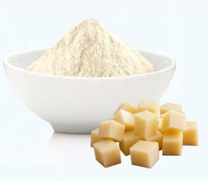 Spray Dried Cheese Powder, Packaging Type : Packet