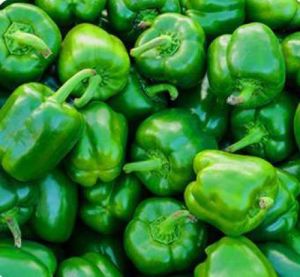 Fresh Green Capsicum, Packaging Type : Bag