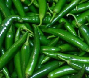 Natural Fresh Green Chilli For Cooking