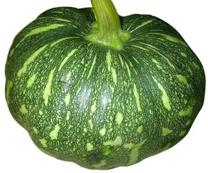 Fresh Green Pumpkin For Cooking