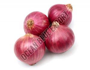 A Grade Fresh Onion For Food