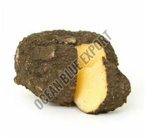 Elephant Yam, Packaging Size : 20 Kg