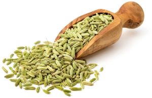 Fennel Seed