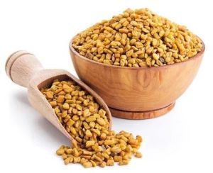 fenugreek seed