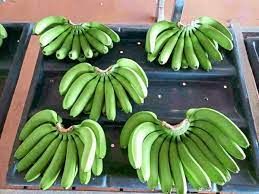 Natural Green Banana