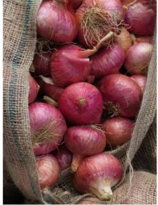 Natural Red Onion