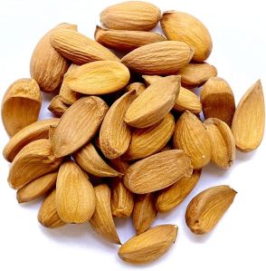 Kashmiri Mamra Almonds, Packaging Type : Vacuum Bag