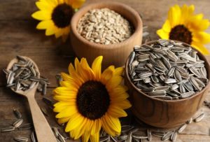 Sunflower Seeds, Packaging Size : 0.5 Kg To 50 Kg