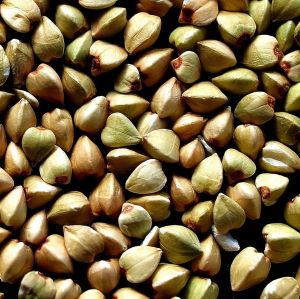 Organic Buckwheat Seeds For Human Consumption