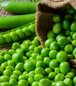 Natural Fresh Green Peas For Cooking