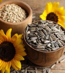 Sunflower Seeds For Oil Making