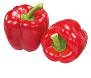 Red Bell Pepper