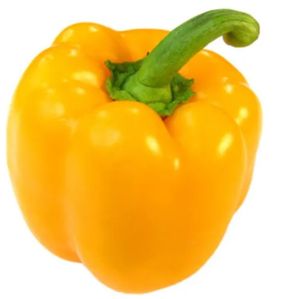 Yellow Bell Pepper