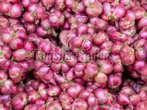 Small Size Red Onion For Cooking