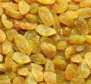 Raisin For Oil, Herbal Formulation, Cooking, Ayurvedic Formulation