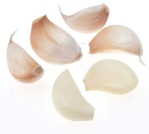 Natural Fresh Garlic Cloves For Cooking