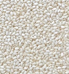 Organic Natural White Sesame Seeds, Seed Type : Dried