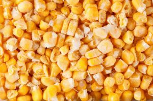 Organic Frozen Sweet Corn For Human Consumption