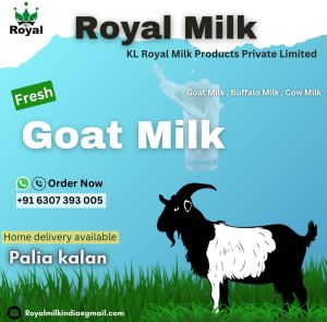 Goat Milk