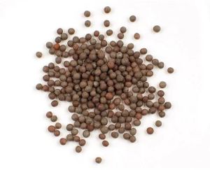 Brown Mustard Seeds