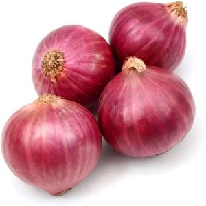 fresh onions