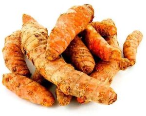 Raw Turmeric Finger