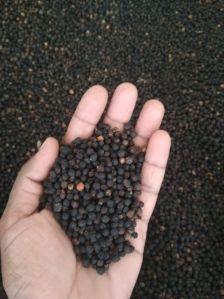 Vietnam Black Pepper