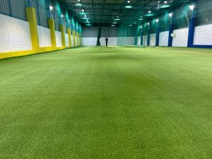 Artificial Grass