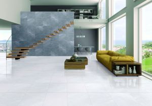 Orientbell Limited Porcelain Ceramic Wall Tiles for Hall, Hostel, House