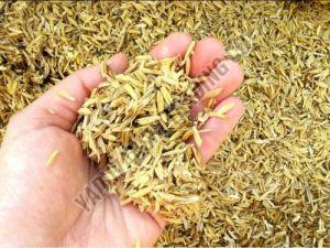 Rice Husk, Packaging Type : Loose