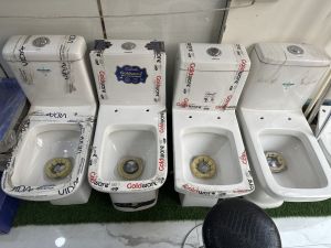 One Peice Toilet Seat